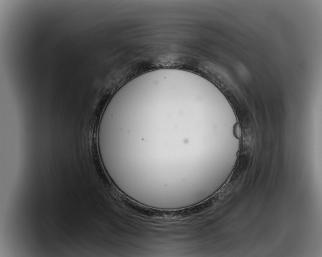 X0000098140503200804171123
