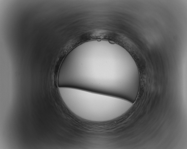X0000098140504200804171123
