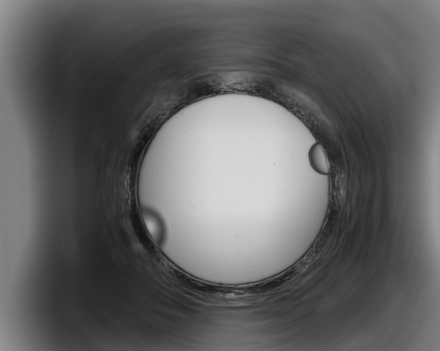 X0000098140506200804171123