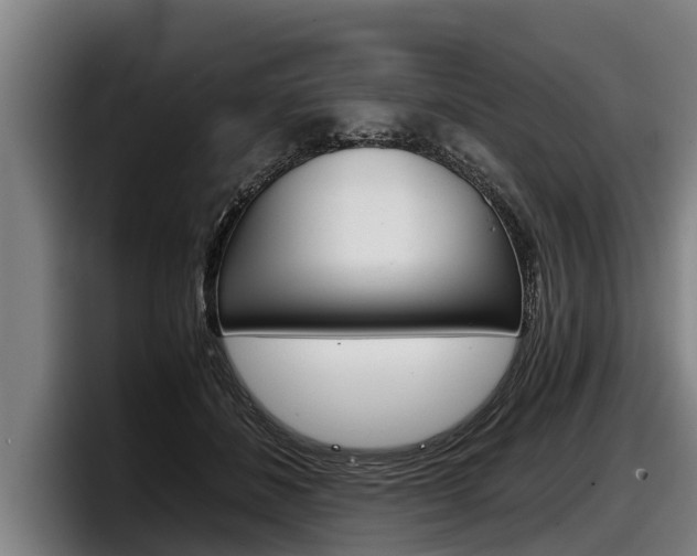 X0000098140508200804171123