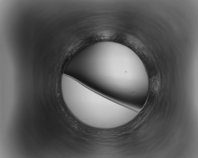 X0000098140509200804171123