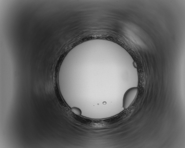 X0000098140510200804171123