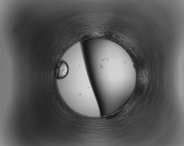 X0000098140512200804171123