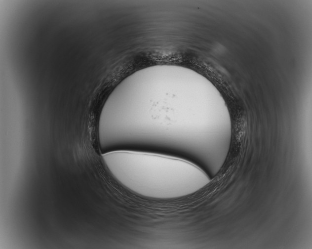 X0000098140515200804171123