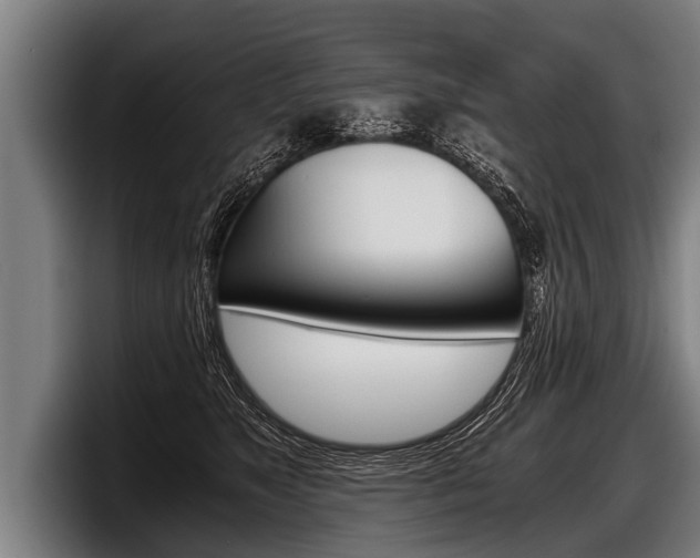X0000098140517200804171123