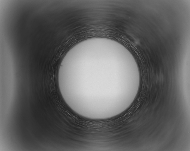 X0000098140520200804171123