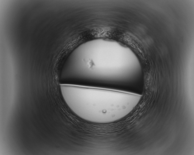 X0000098140521200804171123