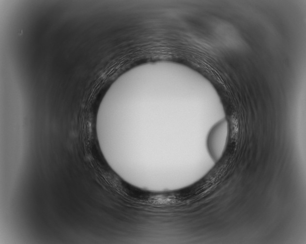 X0000098140522200804171123