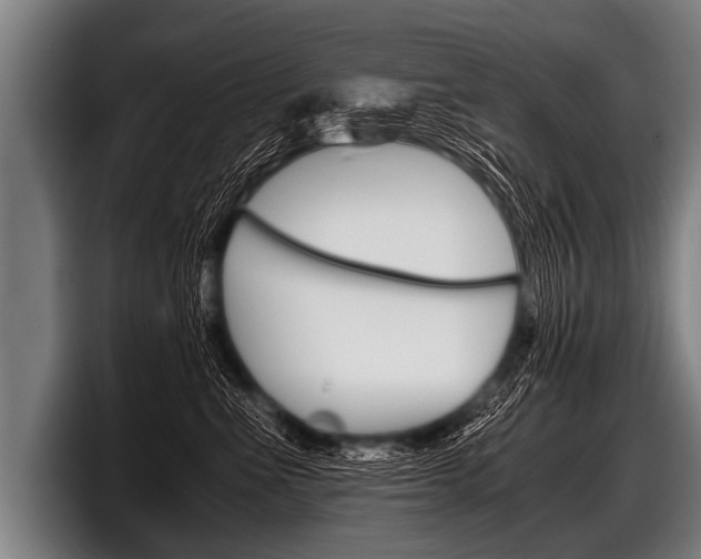 X0000098140523200804171123