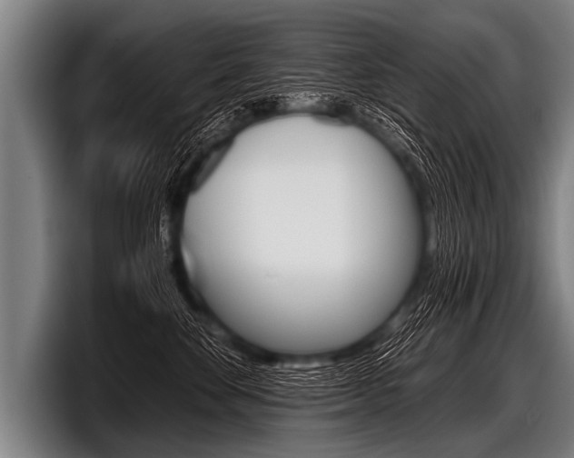 X0000098140524200804171123