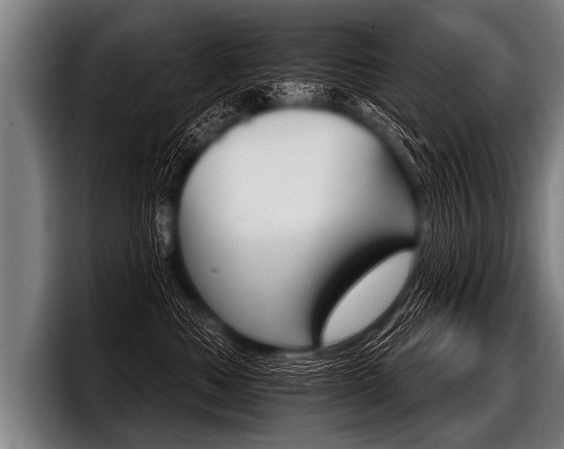 X0000098140525200804171123