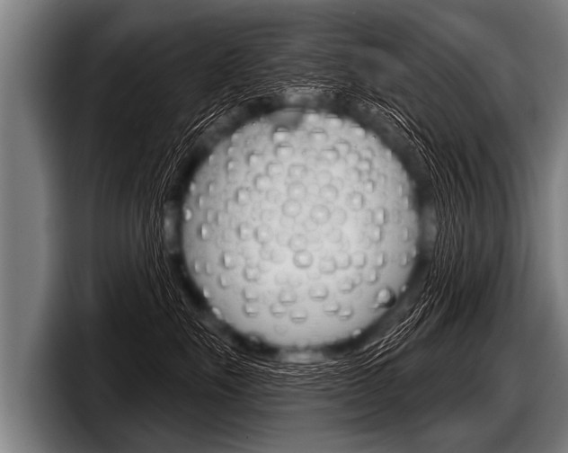 X0000098140527200804171123