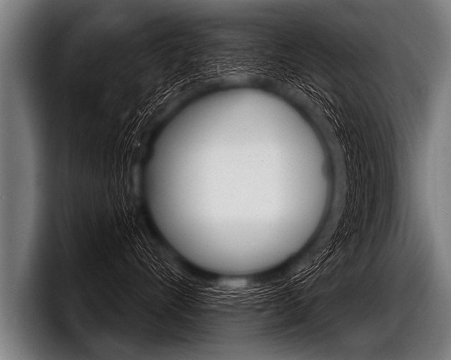 X0000098140528200804171123