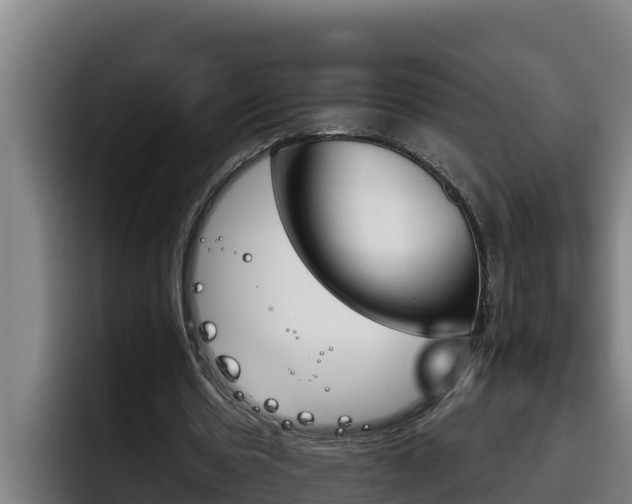 X0000098140530200804171122