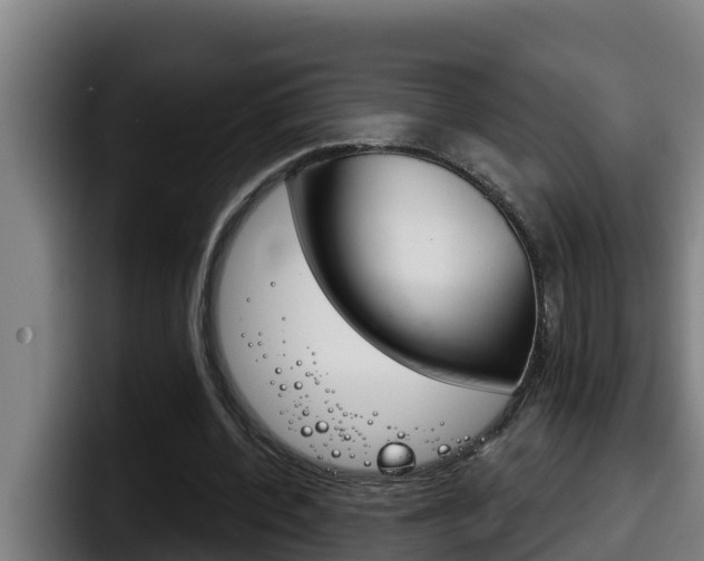 X0000098140532200804171122