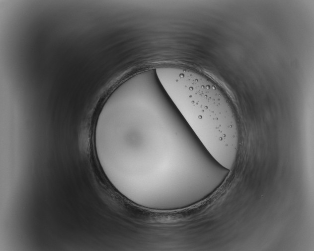 X0000098140533200804171122