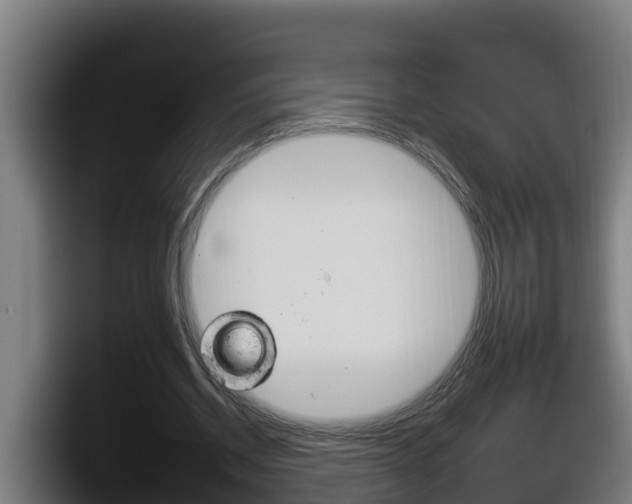 X0000098140534200804171122