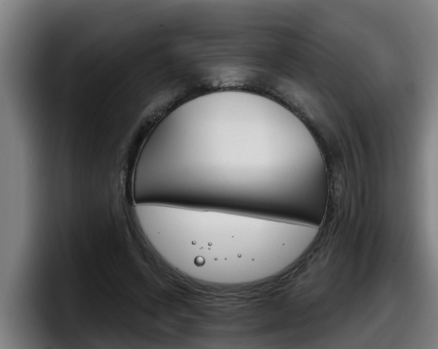 X0000098140543200804171122