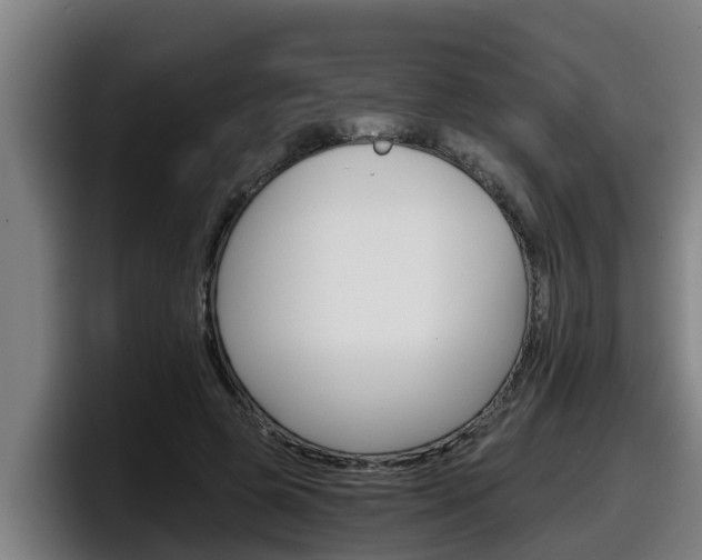 X0000098140545200804171122