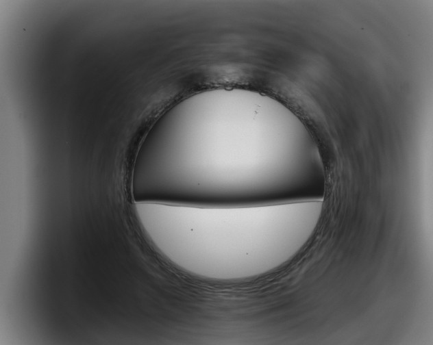 X0000098140546200804171122