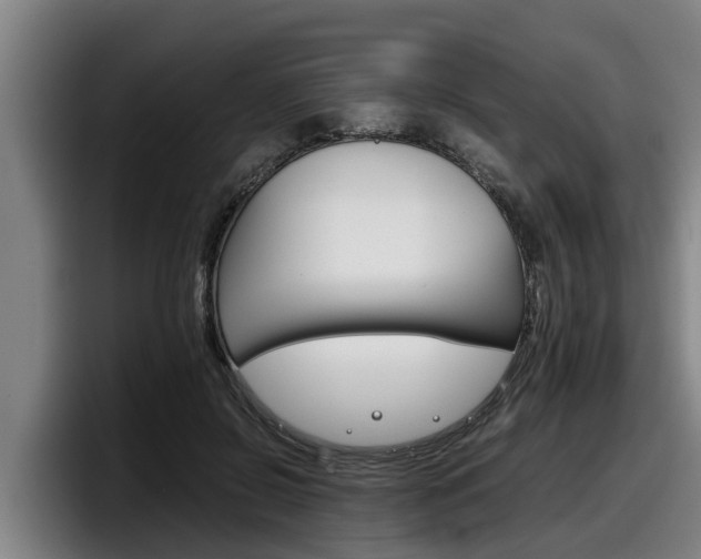X0000098140550200804171122