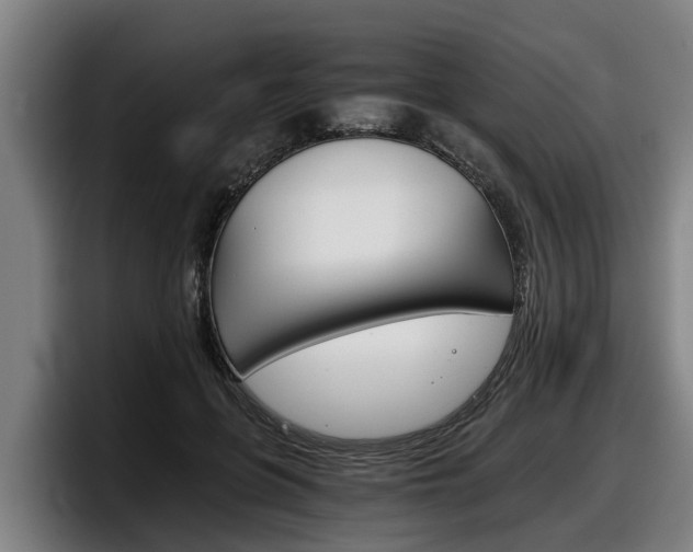 X0000098140551200804171122
