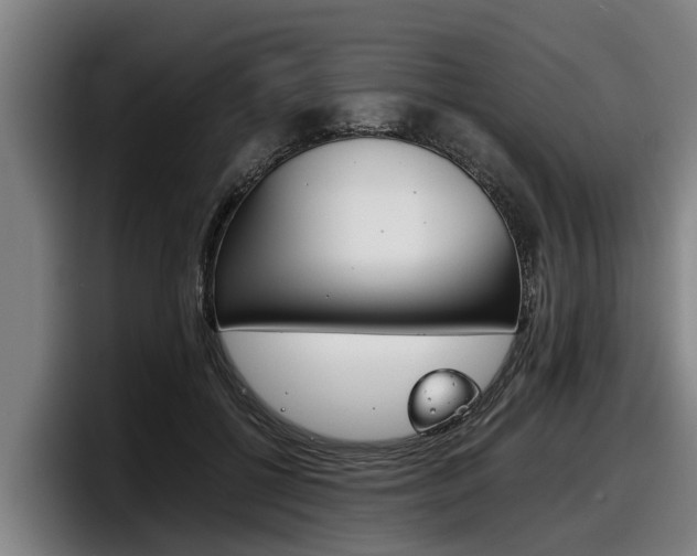 X0000098140552200804171122