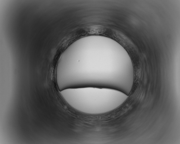 X0000098140554200804171122