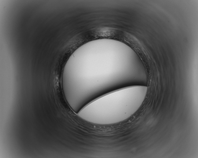 X0000098140555200804171122