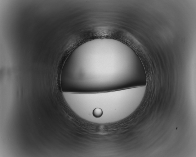 X0000098140556200804171122