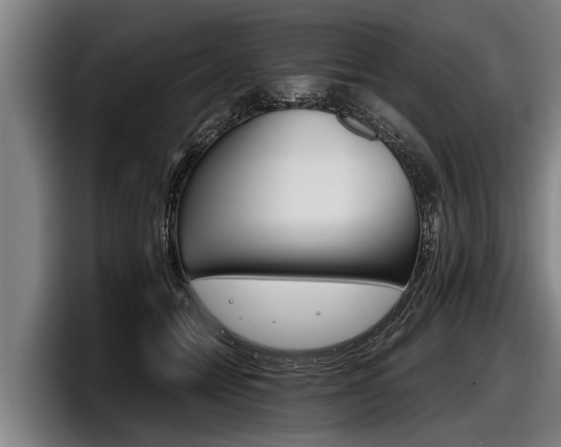 X0000098140558200804171122