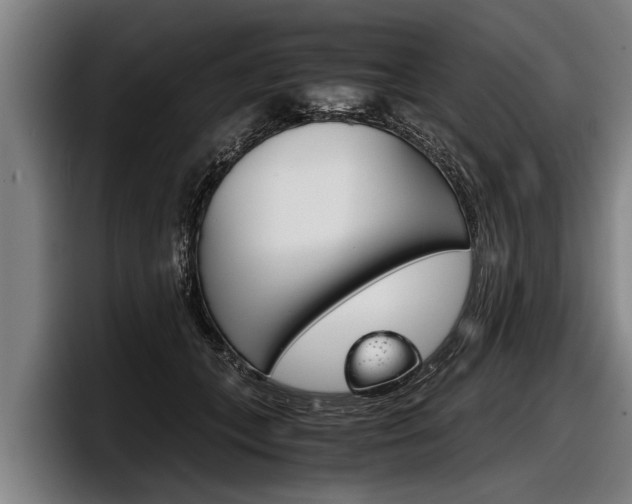 X0000098140559200804171123