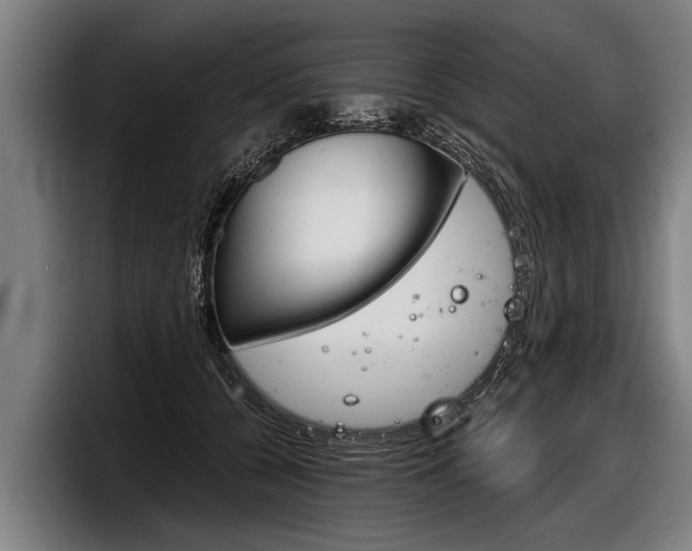 X0000098140560200804171123