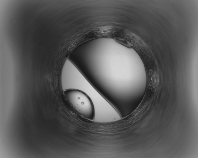 X0000098140562200804171123
