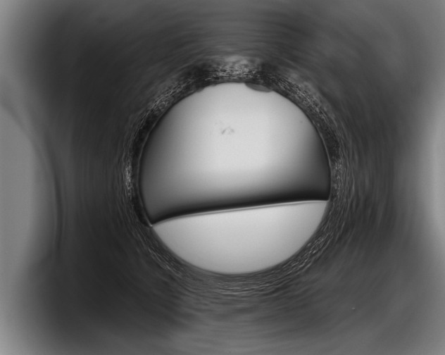 X0000098140564200804171123