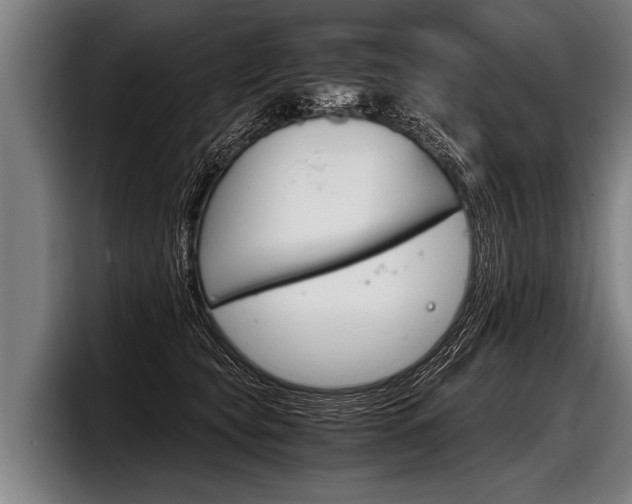 X0000098140565200804171123