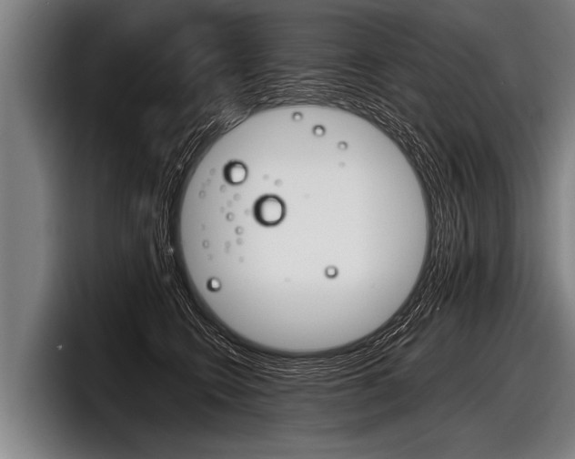 X0000098140566200804171123