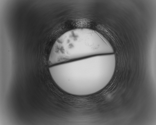 X0000098140569200804171123