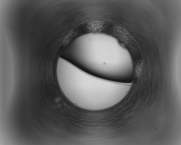 X0000098140570200804171123