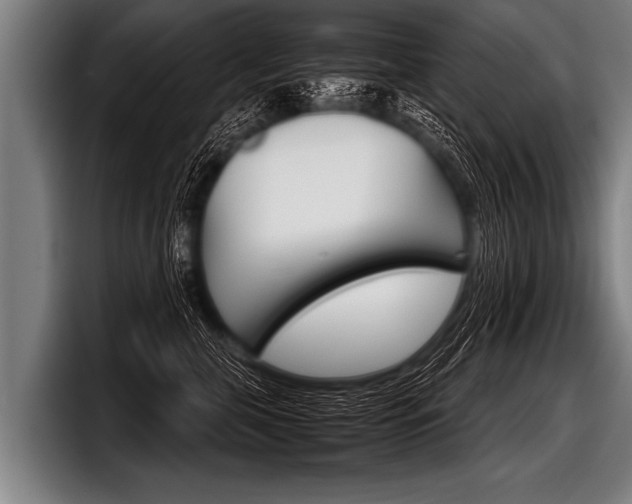 X0000098140571200804171123