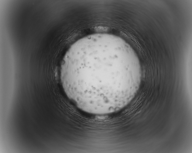 X0000098140573200804171123
