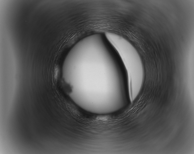 X0000098140574200804171123