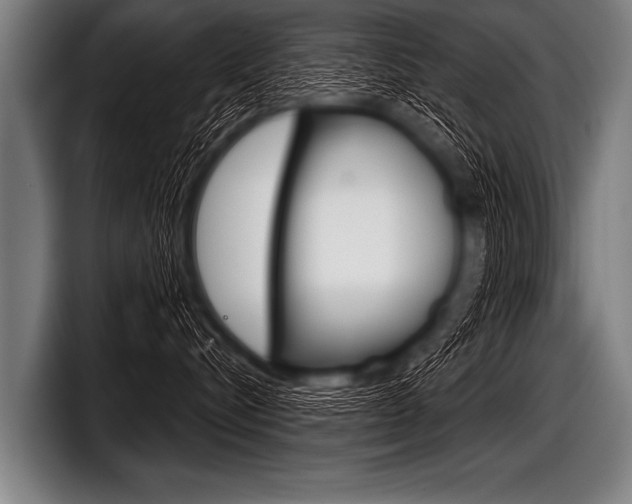 X0000098140576200804171123