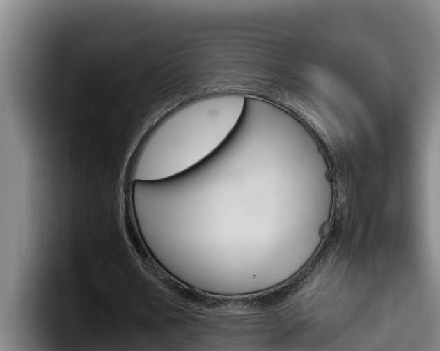 X0000098140578200804171122