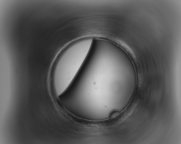 X0000098140580200804171122