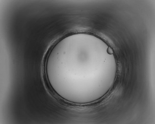 X0000098140582200804171122