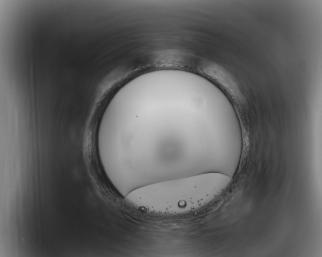 X0000098140583200804171122