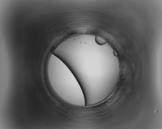 X0000098140590200804171122