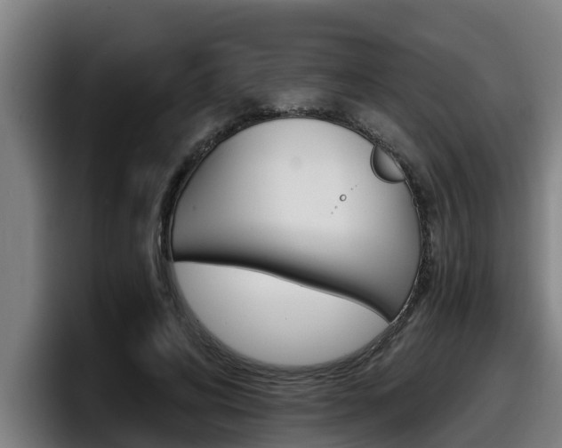 X0000098140592200804171122