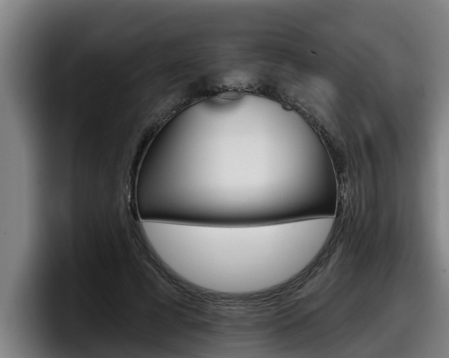 X0000098140593200804171122